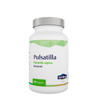 Pulsatilla