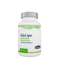 SilyLipo