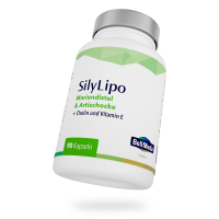 SilyLipo