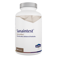 Sanaintest