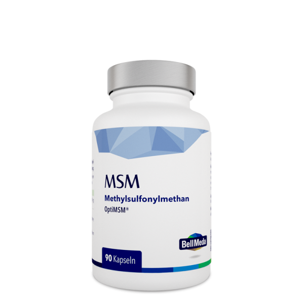 MSM 500