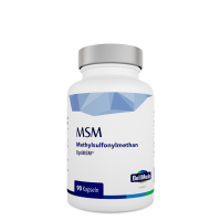 MSM 500